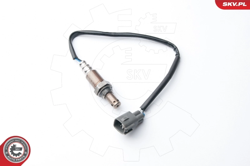 Oxygen Sensor